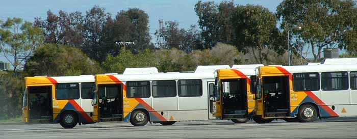 Adelaide Metro Paradise